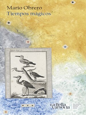 cover image of Tiempos mágicos